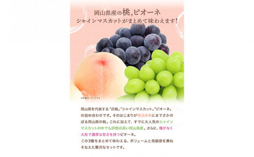 【2026年先行予約】 桃 シャインマスカット ピオーネ 詰め合わせ 約1.8kg クール便 冷蔵便 桃 もも 葡萄 ブドウ ぶどう マスカット フルーツ セット 先行予約 晴れの国おかやま館 《《2