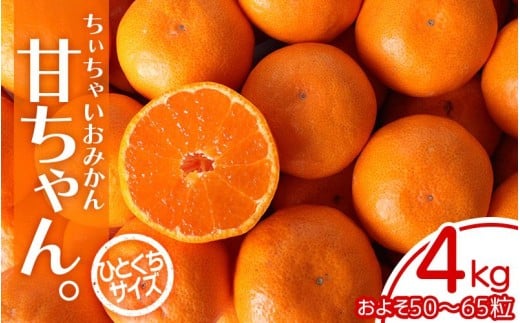 【2026年先行予約】ちぃちゃいおみかん『甘ちゃん。』【小玉みかん】4kg（約50～65個） ※2026年12月上旬～下旬頃に順次発送予定【期間限定・2026/11/30まで】 / みかん ミカン 柑橘 温州みかん 早生温州ミカン 和歌山県 小玉 小粒【ngm001-1】