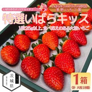 茨城県産いちご 茨城県オリジナル品種 【特選いばらキッス】計18粒(1箱)大粒・厳選　濱野いちご園【配送不可地域：離島・沖縄県】【1707678】