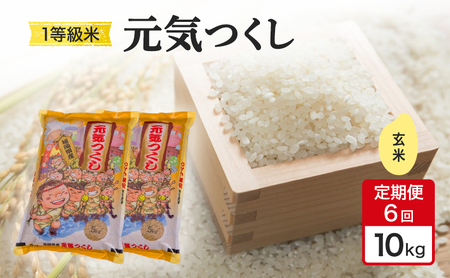 元気つくし 1等級米 玄米 福岡県産 元気つくし【10kg】【定期便6回】