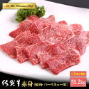 【ふるさと納税】【全3回定期便】佐賀牛 A5 赤身 ( モモ ) 400g ( 焼肉用 ) 【山下牛舎】 [HAD095]