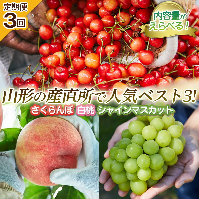 【ふるさと納税】【定期便3回】山形の産直所で人気ベスト3の定期便 FZ25-948 くだもの 果物 フルーツ 山形 山形県 山形市 お取り寄せ