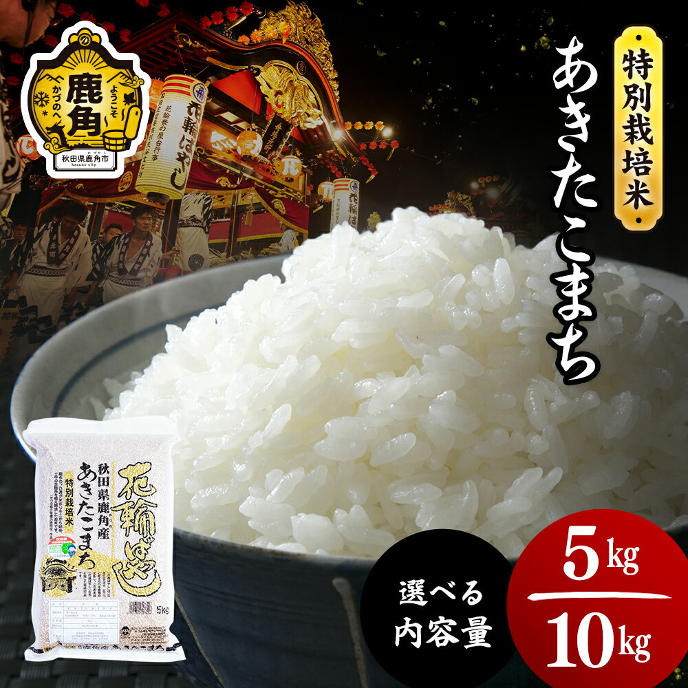 【ふるさと納税】《 先行予約 》令和7年産 特別栽培米 花輪ばやし（ あきたこまち ）5kg 10kg 選べる 内容量 精米 単品 白米 新米 米 お米 おこめ 県産米 国産米 生活 応援米 お中元 お歳暮 新生活 グルメ ギフト 故郷 秋田 あきた 鹿角市 鹿角 送料無料 【安保金太郎商店】