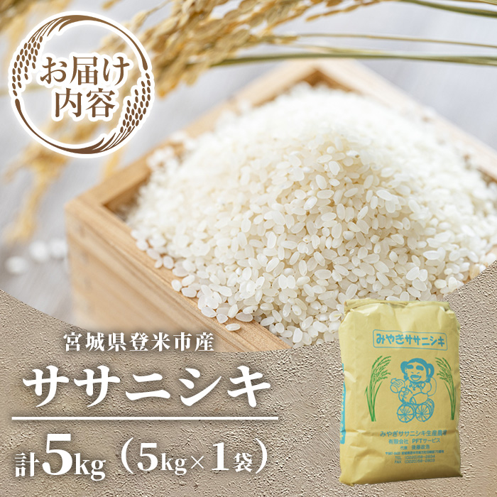 ≪令和7年産 新米≫ 登米市産 ササニシキ 5kg (5kg×1袋) お米 おこめ 米 コメ 白米 ご飯 ごはん おにぎり お弁当【有限会社PFTサービス】tm477