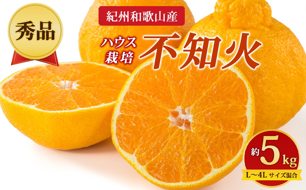 
                  【先行予約】【秀品】紀州和歌山産 ハウス栽培 不知火 約5kg（箱込み）L～4L サイズ混合
                