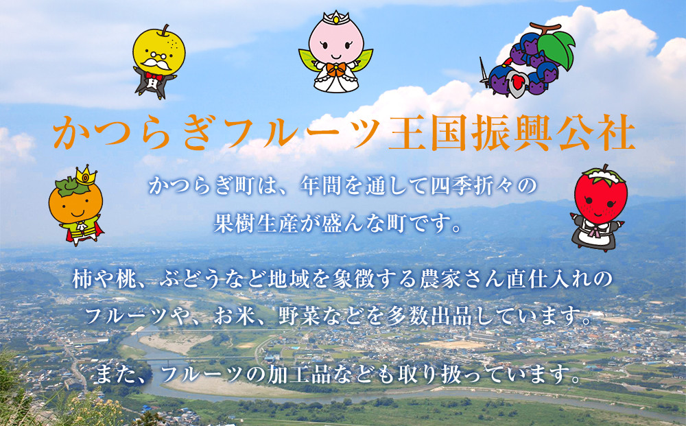 ［2026年発送分・先行予約］農家さん直送 低農薬玉ねぎ Lサイズ 10kg程度［4月中旬～7月中旬頃発送予定］［KF16］