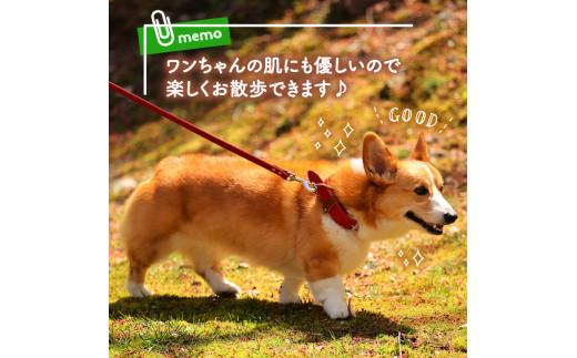 ペット用 リード 小型犬用 オレンジ 120cm 本革 ペット 犬 愛犬 ワンちゃん 小型犬 首輪 リード 本革 レザー 牛革 牛 散歩 さんぽ ウォーキング 健康 おしゃれ 消耗品 大阪府 松原市