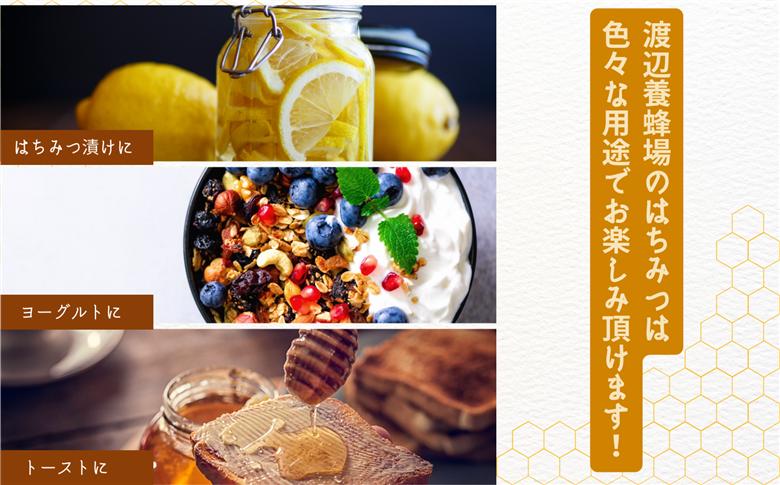 自家採り国産天然はちみつ 2本セット(220g×2)【渡辺養蜂場】