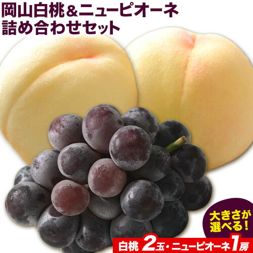 【ふるさと納税】【先行予約】岡山白桃 & ニューピオーネセット【配送不可地域あり】白桃 ロイヤル ニューピオーネ 1房 《7月上旬-8月末頃に出荷予定(土日祝除く)》 岡山県 矢掛町 桃 白桃 もも 岡山白桃 ニューピオーネ ぶどう 詰め合わせ 果物