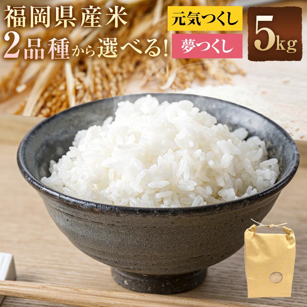 【ふるさと納税】＜選べる品種＞福岡県産米 5kg 元気つくし / 夢つくし お米 米 こめ コメ 白米 精米 単一原料米 ごはん ご飯 おにぎり お弁当 福岡県産 国産 九州 福岡県 太宰府市 送料無料