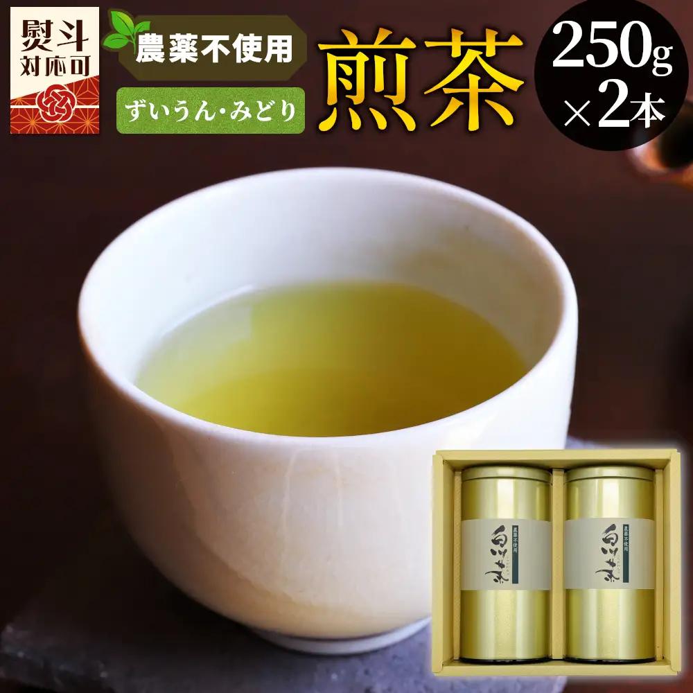 農薬不使用！煎茶 ギフト NO.3 （ずいうん250g＋みどり250g 計500g） 常磐園 ずいうん 日本茶 緑茶 茶葉  岐阜県 東白川村 お取り寄せ 贈答用 プレゼント 母の日