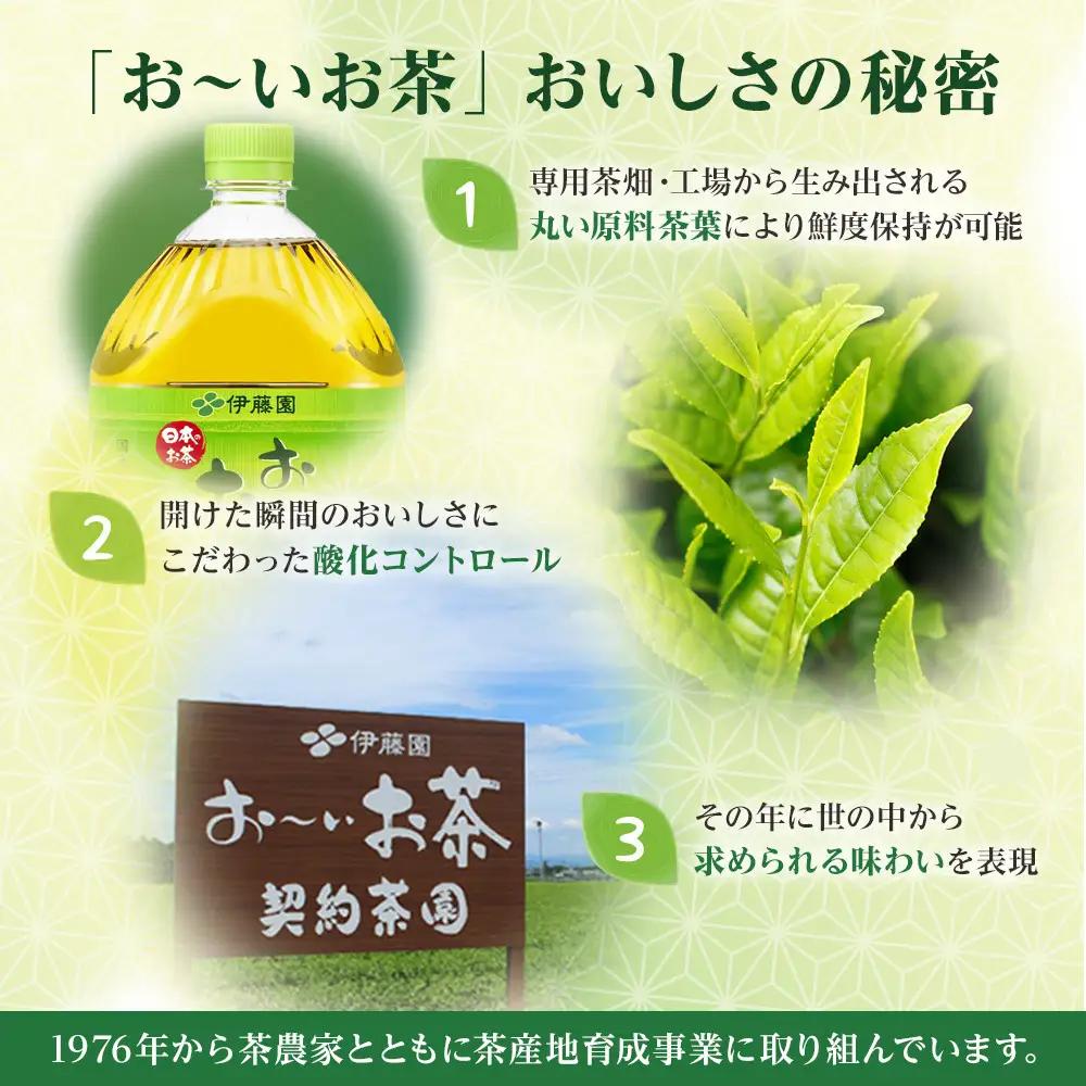 【定期便 全6回 毎月発送】機能性表示食品 お～いお茶 濃い茶  2L × 1ケース（6本）