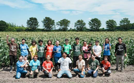 季節の彩り野菜セットMサイズ(9～11品) 野菜 詰め合わせ 新鮮 産地直送 北海道 江別市 EB8-0154