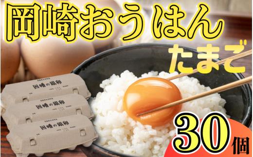 【33002】岡崎おうはん！薬膳鶏の自然な恵み！卵30個セット