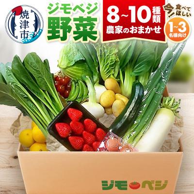 ふるさと納税 焼津市 ジモベジ野菜セット(a10-1232)