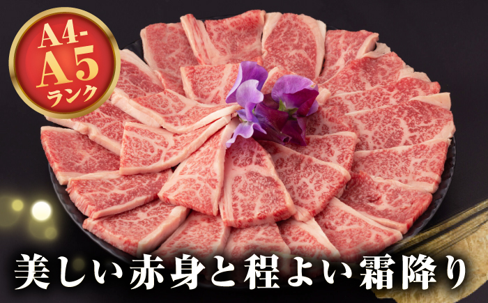 【A4〜A5ランク】長崎和牛 焼肉用 上カルビ 500g《壱岐市》【野中精肉店】 牛 牛肉 和牛 赤身 焼肉 焼肉用 カルビ BBQ バーベキュー ギフト 贈答用 冷凍配送 A4 A5 [JGC010