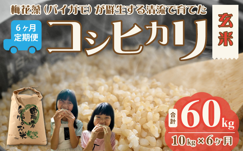 
            【先行予約】令和7年産 梅花藻が群生する清流で育てたコシヒカリ（玄米 10kg）6か月定期便 計60kg ※2025年9月下旬以降順次発送予定 [F-040005]
          