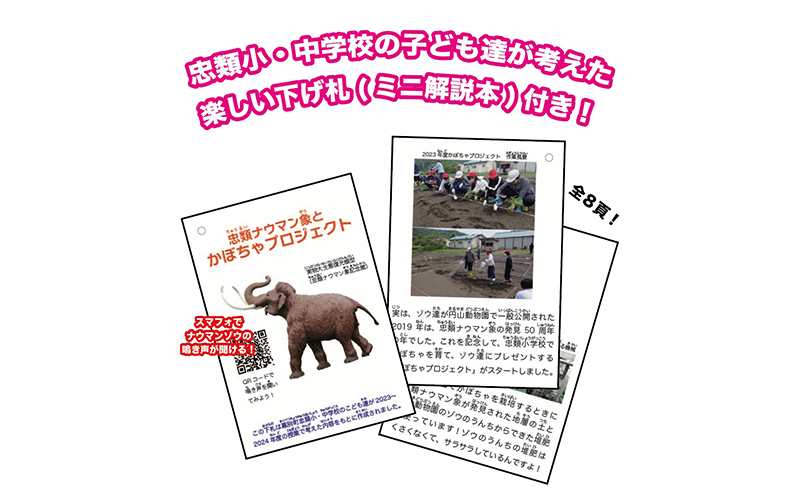 [北海道 幕別町]学芸員監修＆子どもたちと作った！忠類ナウマンゾウぬいぐるみ1体 トレカ付き（小中学生制作のオリジナル学びの下げ札付き）【 ぬいぐるみ おもちゃ ふわふわ もこもこ ゆるキャラ トレカ
