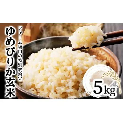 【玄米】《令和8年産》お米 ゆめぴりか玄米 5kg｜米 北海道 岩見沢市 ファーム坂口の特別栽培米
