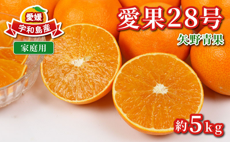 
愛果28号 5kg 矢野青果 家庭用 みかん 柑橘 果物 くだもの フルーツ 高級 ブランド 限定 品種 濃厚 甘い 甘味 蜜柑 ゼリー プルプル サイズ 不揃い 産地直送 農家直送 数量限定 国産 愛媛 宇和島 B014-171003
