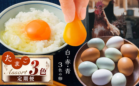 卵3色 アソート 便 3回定期便 白玉 赤玉 青玉 食べ比べ 君津市産 |  菜の花エッグ アスタキサンチン卵 菜の花たまご 三枝農場 赤卵 赤玉 保坂農場 アローカナ あろーかな たまご 卵 タマゴ 玉子 定期便 赤 卵かけご飯 お菓子作り 新鮮 オススメ グルメ セレクト 千葉県 君津市 きみつ