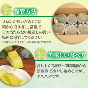 タカミメロン 3~6玉 訳あり 約 5. 5kg メロン