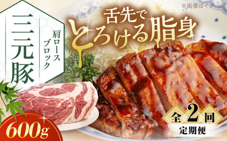 【全2回定期便】三元豚 肩ロースブロック600g《喜茂別町》【平田牧場】 肉 豚肉 ロース ブロック ローストポーク 煮豚 酢豚 煮物 冷凍配送[AJAP110]