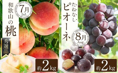 【定期便全6回】夏・秋の新鮮フルーツ定期便