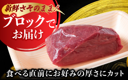 【6回定期便】鮮度抜群！冷蔵お届け 上馬刺し 2種 食べ比べ 計250g 赤身(150g) 霜降り(100g) ブランド馬肉「このみ桜」馬刺し用醤油付き【馬庵このみ】馬刺し 馬肉 霜降り 赤身ブロック