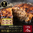 【ふるさと納税】和牛道ハンバーグ120g×6食セット【配送不可地域：離島】【1397514】