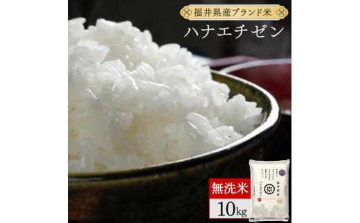 【定期便3回】福井県産 ハナエチゼン 無洗米 10kg（10kg×1）＜令和7年産 新米 数量限定 ＞【米 コメ お米 精米 白米 無洗米 玄米 ご飯 飯 華越前 ブランド米 国産】[095-t3-a018]