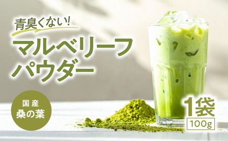 マルベリーフパウダー KN098-008 桑の葉パウダー 加工食品