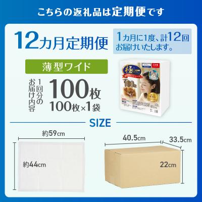 ふるさと納税 富士市 定期便【全12回】【極】シリーズ 犬用ペットシーツ 薄型ワイド 100枚 ペットシート 日本製 |  | 02