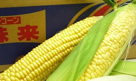 とうもろこし もぎたてトウモロコシ 5kg 坂出市産【先行予約：2025年6月上旬～順次発送】 | トウモロコシ トウモロコシ トウモロコシ トウモロコシ トウモロコシ