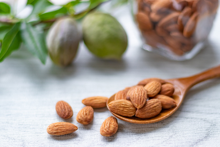 JC011.【定期便】バラエティナッツ定期便×12ヶ月【エイジングケアに最適！】