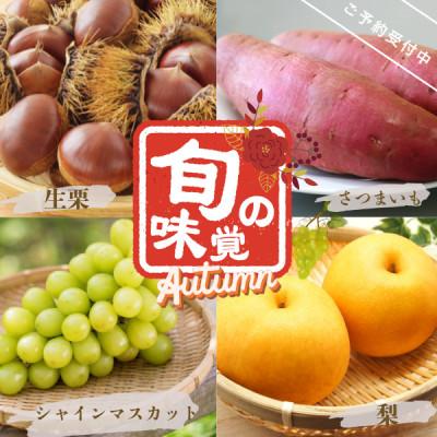 ふるさと納税 かすみがうら市 【先行受付】旬のくだもの詰め合わせ　-シャインマスカット・梨・さつまいも・栗-