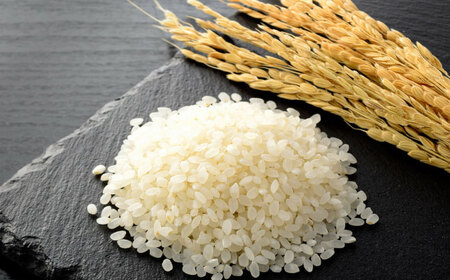 純米吟醸 長良泉 無濾過生原酒（720〜 1本） 日本酒 生酒 プレゼント 岐阜市 / 樽綱本店[ANFA003]