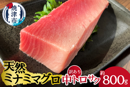 天然ミナミマグロ 訳あり 中トロ(サク) 約800ｇ入り 訳あり OR FN-SupportProject OR 増量 OR 年末企画 訳あり (a24-062)