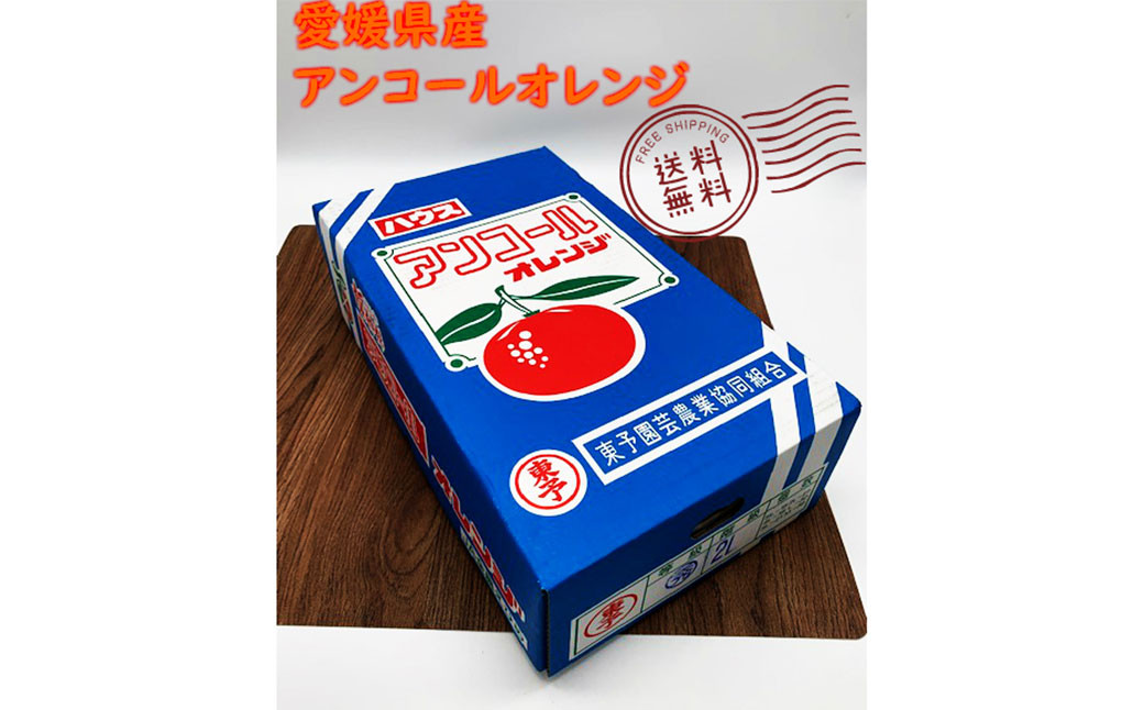 アンコールオレンジ 3L～L 約4kg 柑橘 みかん 愛媛【2025年3月発送予定】（724）