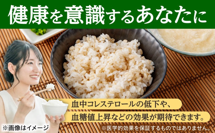【全3回定期便】 押麦「長崎100年麦 御島裸」1kg×10袋 計10kg / 麦 むぎ 押麦 はだか麦 麦味噌 雑穀 雑穀米 食物繊維 小分け / 諫早市 / 有限会社伊東精麦 [AHBU010]