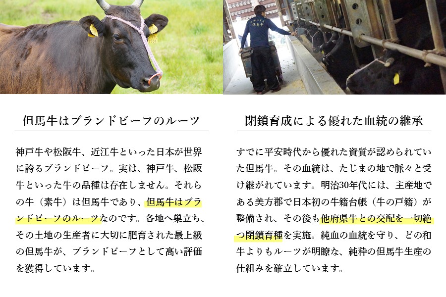 神戸ビーフ　焼肉用・赤身（1kg）