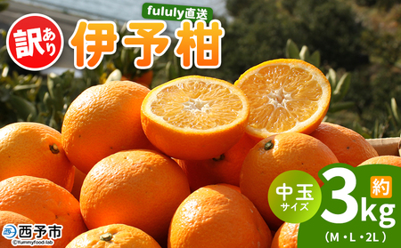 ＜fululy直送 伊予柑 訳あり 約3kg 中玉サイズ（M～2L）＞ ワケアリ サイズ混合 中玉 果物 フルーツ 蜜柑 いよかん イヨカン 柑橘 家庭用 合同会社fululy 直送 愛媛県 西予市【常温】『2026年1月中旬～2月上旬迄に順次出荷』 AGF0011