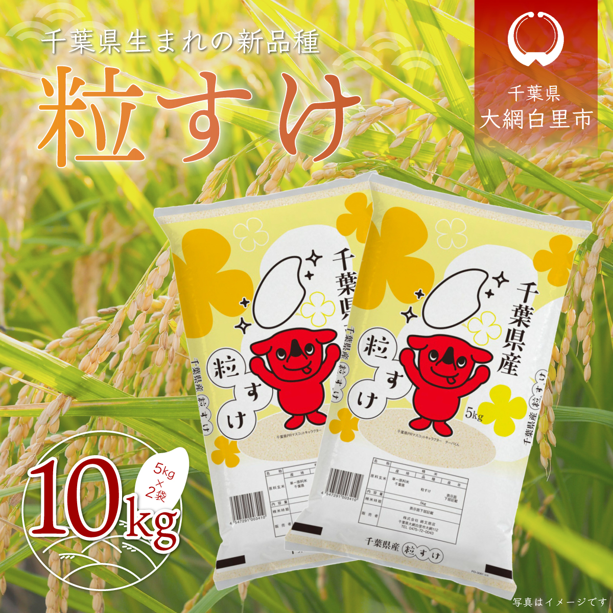 【先行受付】令和7年産  千葉県産「粒すけ」10kg（5kg×2袋） A006