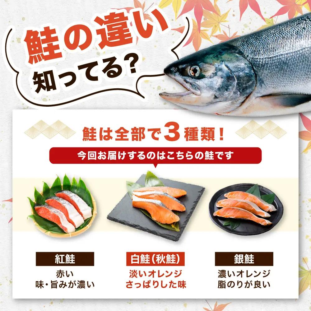 北海道産 定塩 鮭 切身 13切