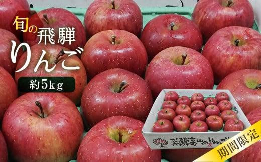 【先行予約 9月中旬～1月下旬発送】飛騨りんご 約5kg (16個～20個）| 林檎 リンゴ 品種おまかせ 旬のりんごを飛騨からお届け おいしい 大容量 飛騨高山 山本果樹園 MA005