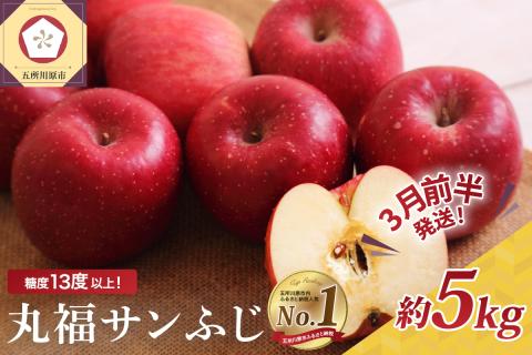 【2026年3月前半発送】 りんご 青森産 約5kg 丸福 サンふじ 光センサー 選果 糖度 13度以上