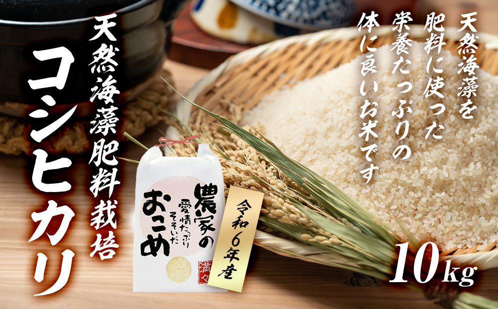 【令和6年産】みどりふぁーむの天然海藻肥料栽培コシヒカリ10kg