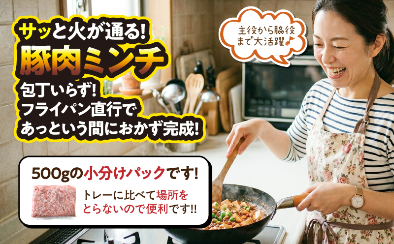 鹿児島県産豚肉ミンチ 4.0kg（500g×8パック）　KN179-003-04【おきどき】