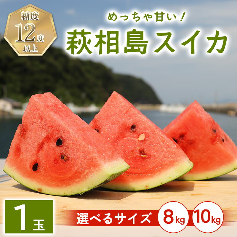 【ふるさと納税】スイカ 萩・夏の銘品 相島 西瓜 秀品 大玉すいか フルーツ 果物 果物類 贈答品 ギフト スイーツ デザート 国産 日本産 食品 グルメ 食卓 山口県 萩市 美味しい おいしい プレゼント プチギフト 贈り物 お中元 人気 おすすめ 贈答用 誕生日プレゼント