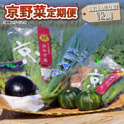 ふるさと納税 京都府 【毎月定期便】選りすぐり京野菜 旬のおすすめ6種程　全12回 新鮮な野菜定期便を12か月間お届け